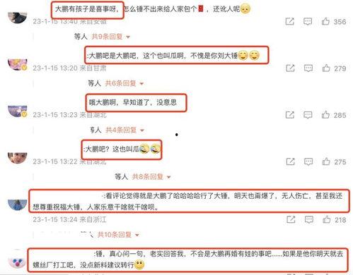 刘大锤最新爆料直播大鹏,大鹏幕后故事大曝光